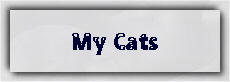my cats
